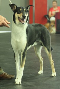 IMG_4854_klein