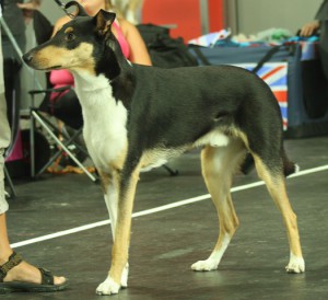 IMG_4860_klein